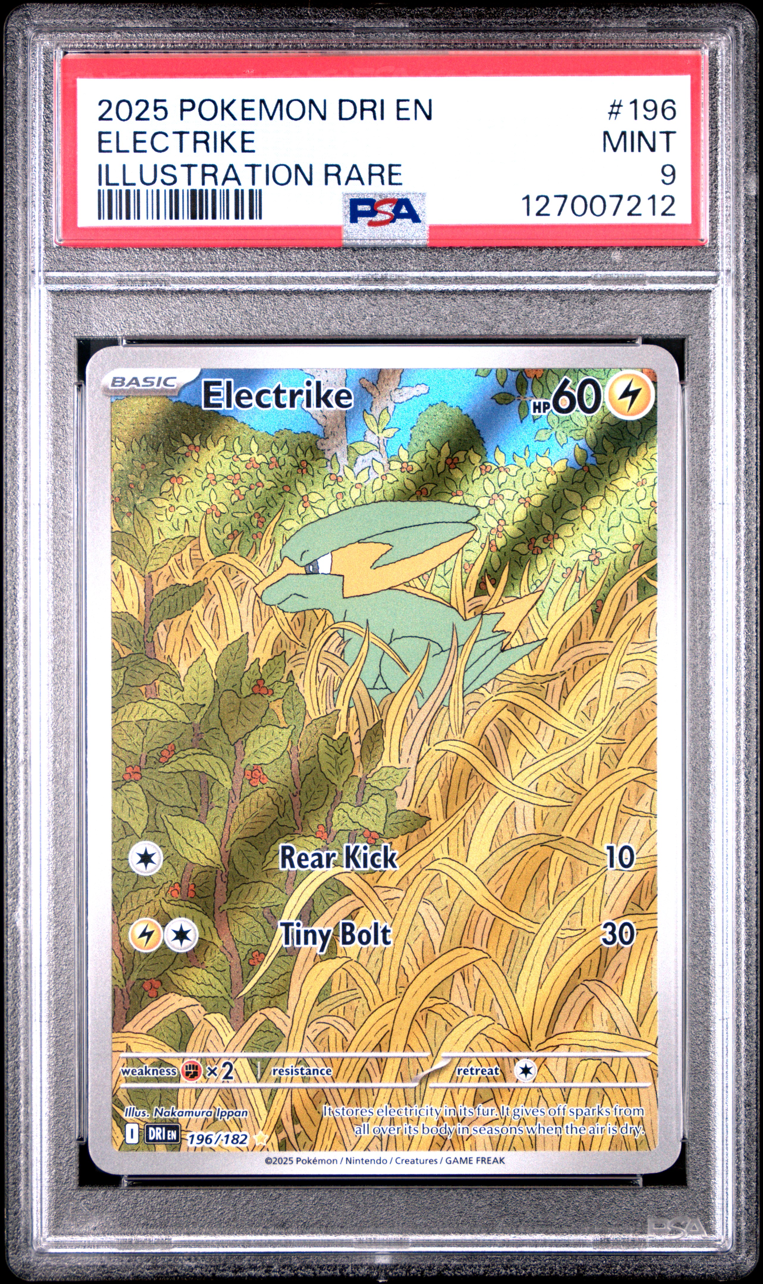 #196 ELECTRIKE ILLUSTRATION RARE DRI PSA 9