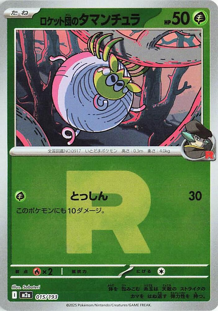 Team Rockets Tarountula Team Rocket Pattern
