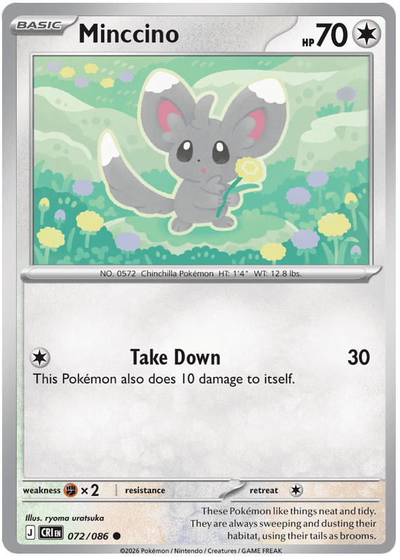Minccino